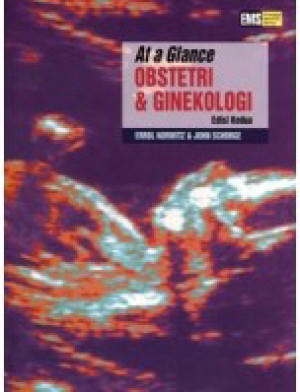 At a Glance Obstetri & Ginekologi