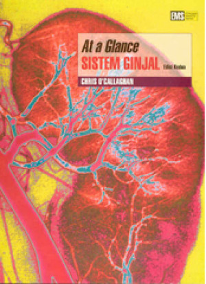 at a Glance Sistem Ginjal