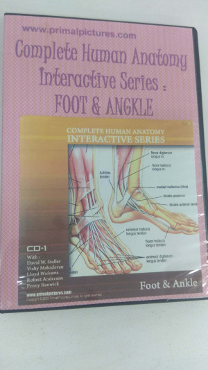 Complete Human Anatomy Interactive Series : Foot & Ankle