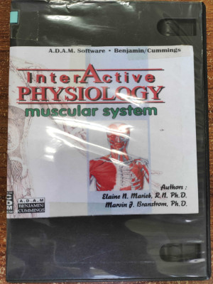 Physiology: Muscular System