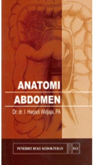 Anatomi Abdomen