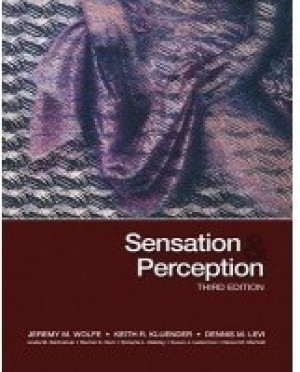 Sensation and Perception
